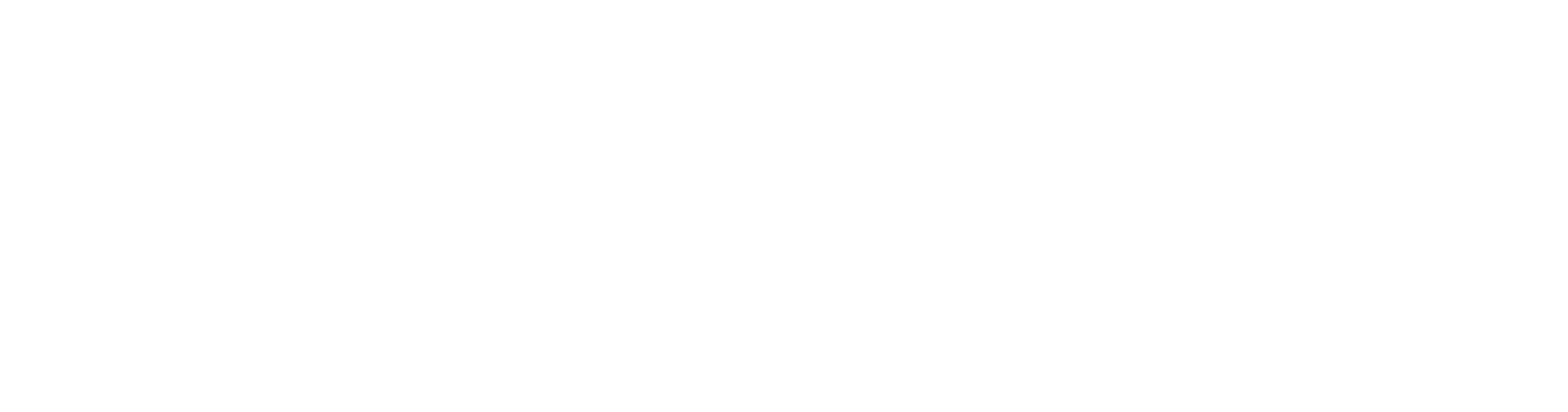 POSSE
